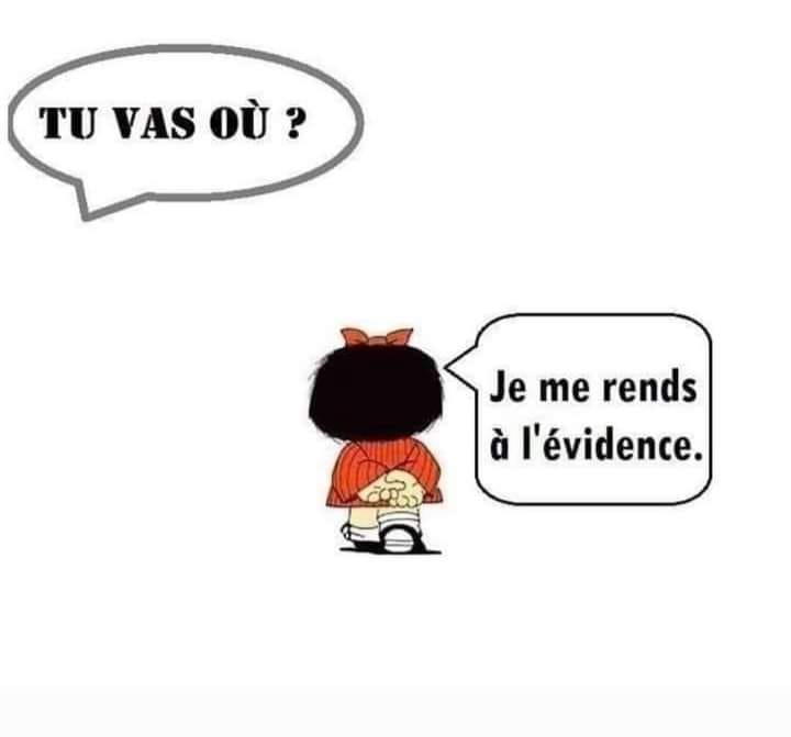 Je me rends à l’évidence